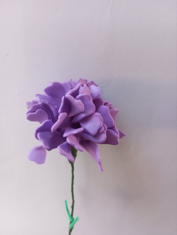 un clavel morado tallo verde y hojas