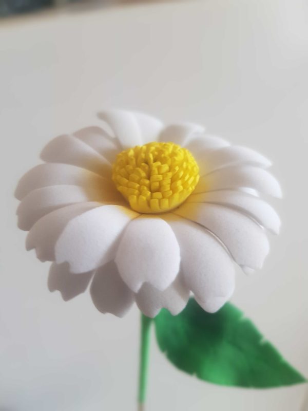 una margarita blanca con centro amarillo