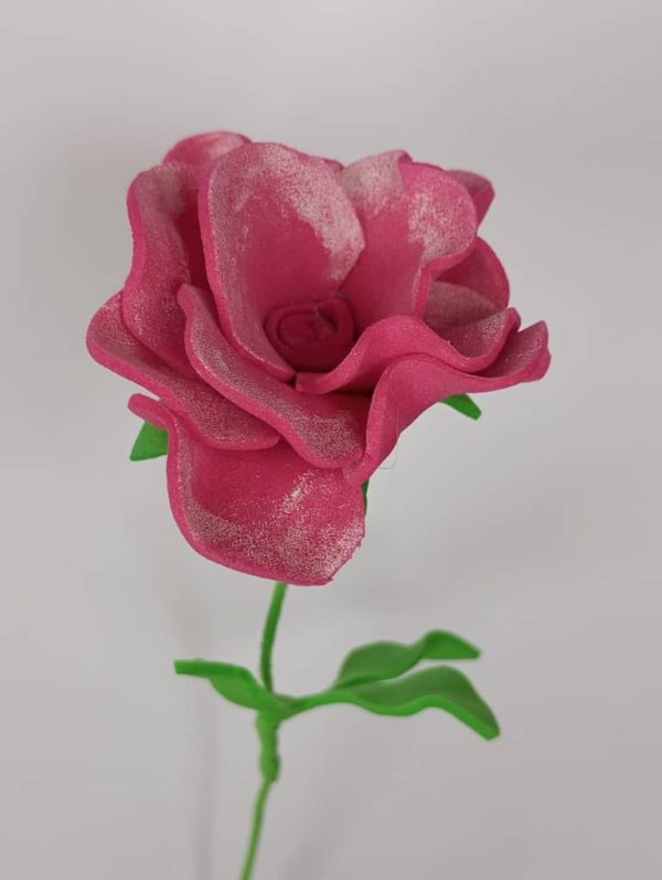 un botón de rosa rosado abriendose