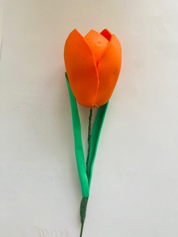 Tulipán - Imagen 4