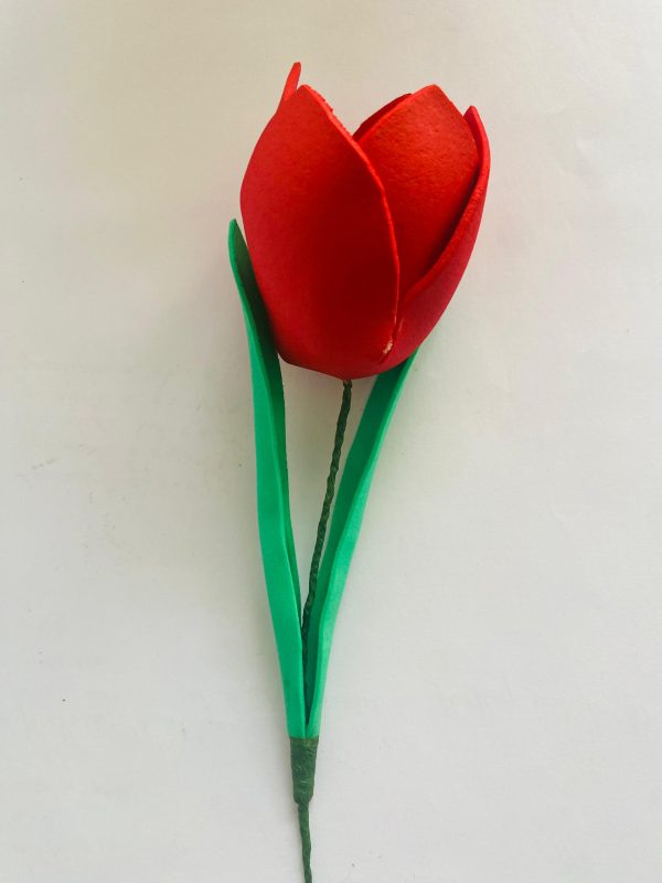 Tulipán - Imagen 3